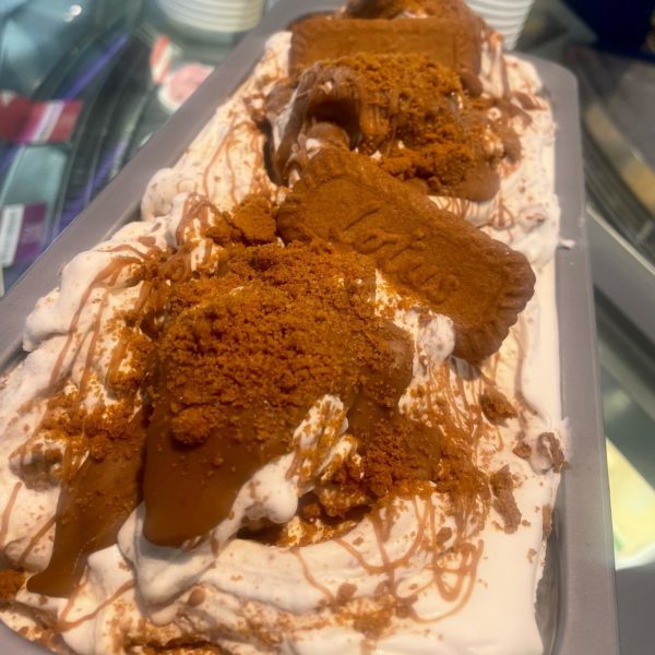 19.2: Biscoff