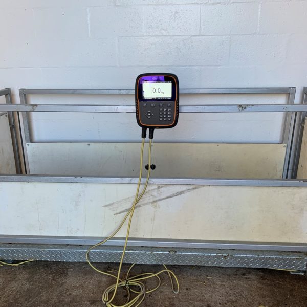 David, Heather and Brian have created a weight crate to make weighing the calves easier.