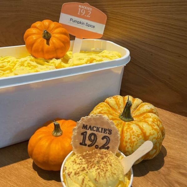 Pumpkin Spiced Latte ice cream, our second special for Halloween